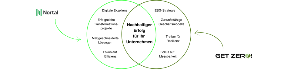 nortal_getzer_visual_digital_excellence