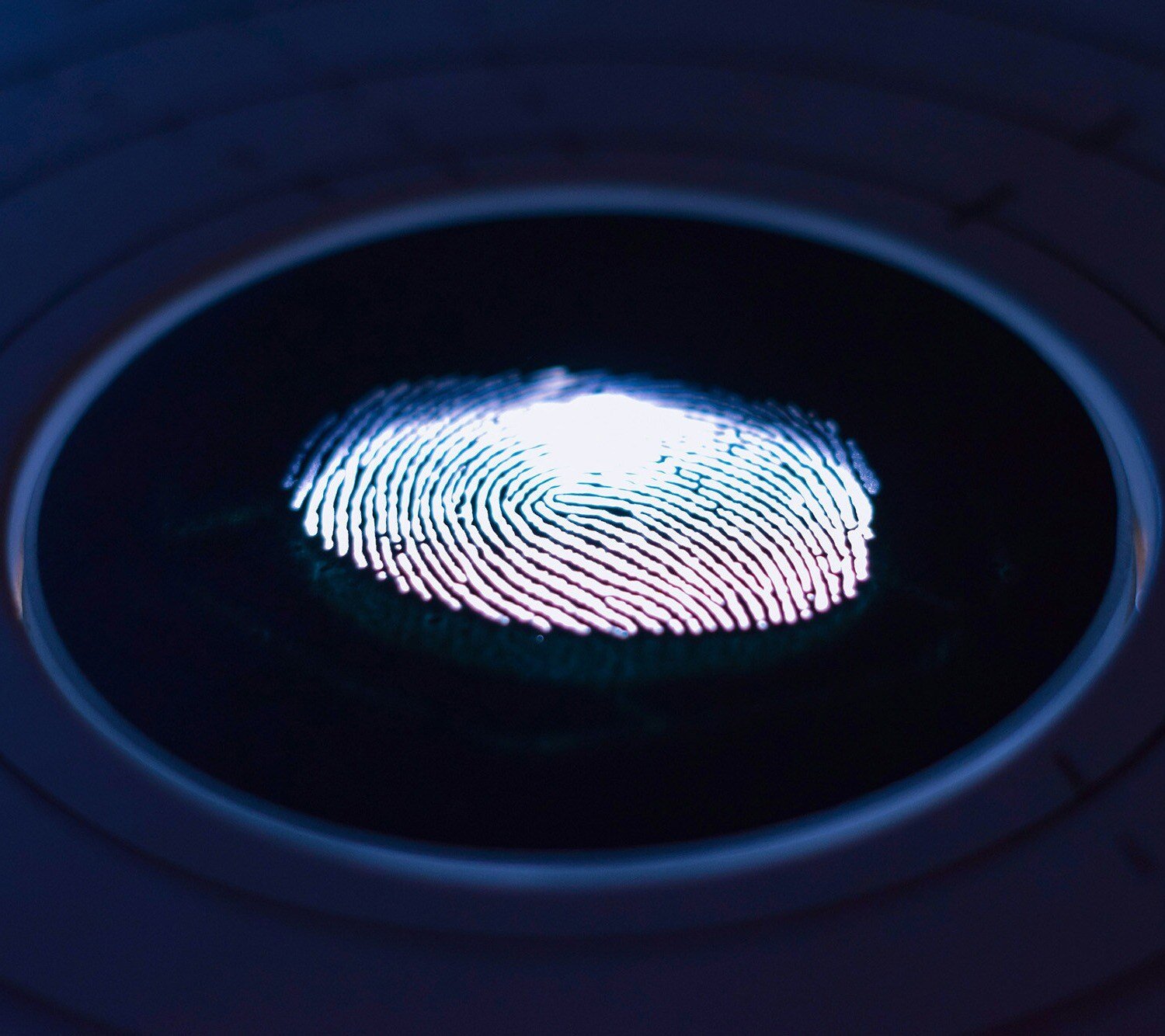 digital_fingerprint_identity